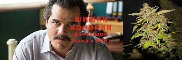 альфа пвп Елизово