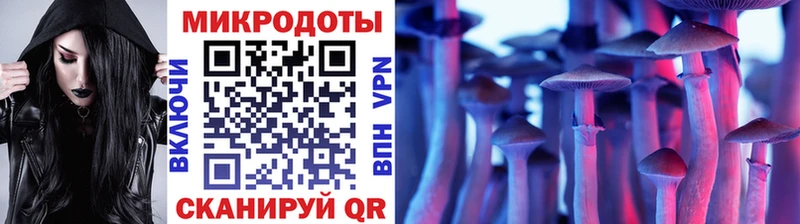 Купить закладки  Перевоз  Галлюциногенные грибы мухоморы 